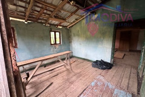Landejendom i Serta, Castelo Branco, Serta - € 108.000 | Ref: VV465/0526 - foto 21