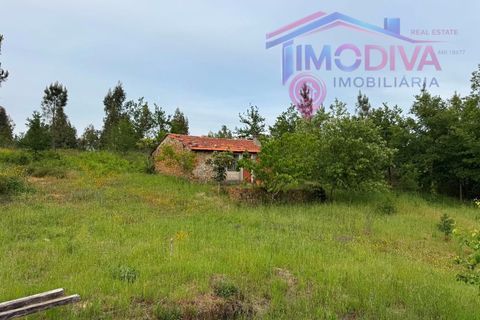 Landejendom i Serta, Castelo Branco, Serta - € 108.000 | Ref: VV465/0526 - foto 29