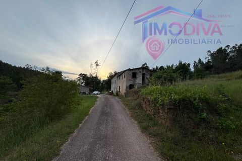 Landejendom i Serta, Castelo Branco, Serta - € 108.000 | Ref: VV465/0526 - foto 30