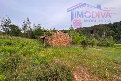 Landejendom i Serta, Castelo Branco, Serta - € 108.000 | Ref: VV465/0526 - foto 33