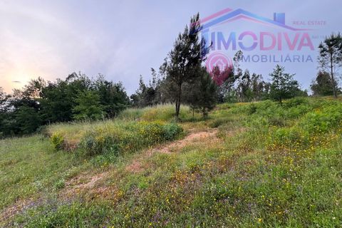 Landejendom i Serta, Castelo Branco, Serta - € 108.000 | Ref: VV465/0526 - foto 34