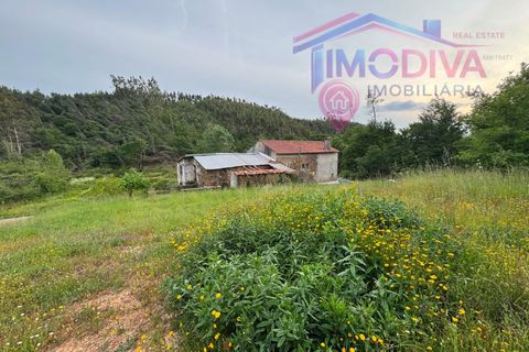 Landejendom i Serta, Castelo Branco, Serta - € 108.000 | Ref: VV465/0526 - foto 35