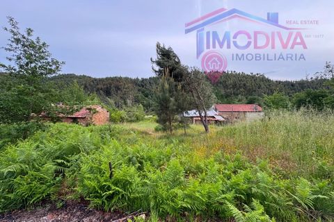 Landejendom i Serta, Castelo Branco, Serta - € 108.000 | Ref: VV465/0526 - foto 36