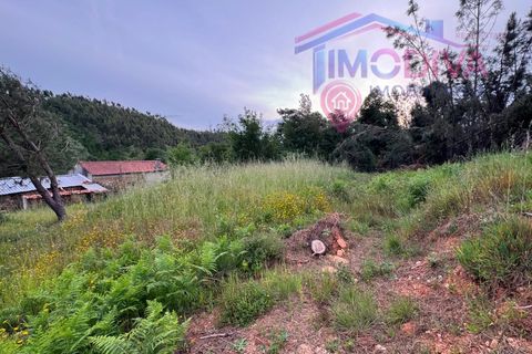 Landejendom i Serta, Castelo Branco, Serta - € 108.000 | Ref: VV465/0526 - foto 38