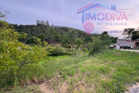 Landejendom i Serta, Castelo Branco, Serta - € 108.000 | Ref: VV465/0526 - foto 39