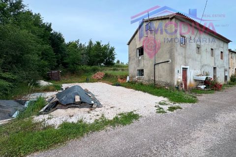 Landejendom i Serta, Castelo Branco, Serta - € 108.000 | Ref: VV465/0526 - foto 40