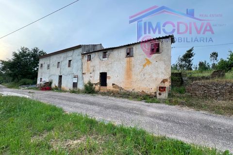 Landejendom i Serta, Castelo Branco, Serta - € 108.000 | Ref: VV465/0526 - foto 41