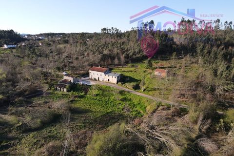 Landejendom i Serta, Castelo Branco, Serta - € 108.000 | Ref: VV465/0526 - foto 45