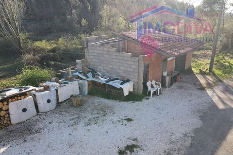 Landejendom i Serta, Castelo Branco, Serta - € 108.000 | Ref: VV465/0526 - foto 46