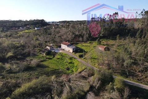 Landejendom i Serta, Castelo Branco, Serta - € 108.000 | Ref: VV465/0526 - foto 47