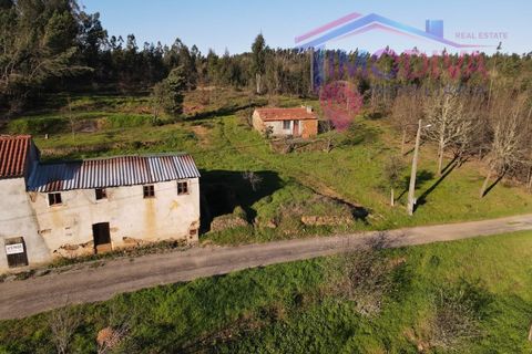 Landejendom i Serta, Castelo Branco, Serta - € 108.000 | Ref: VV465/0526 - foto 49