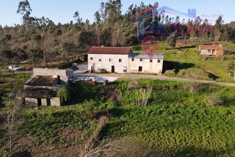 Landejendom i Serta, Castelo Branco, Serta - € 108.000 | Ref: VV465/0526 - foto 50