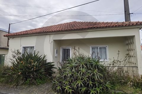 Villa i Leiria, Leiria, Leiria - € 110.000 | Ref: C0269-01981 - foto 2