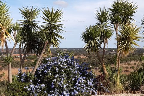 Villa i Ourique, Beja, Ourique - € 650.000 | Ref: 33203 - foto 9