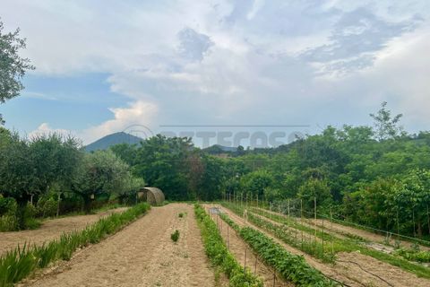 Byhus i Vo', Padua, Vo' - € 230.000 | Ref: G2617 - foto 29