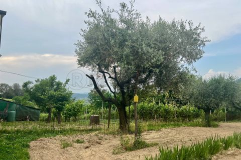 Byhus i Vo', Padua, Vo' - € 230.000 | Ref: G2617 - foto 30
