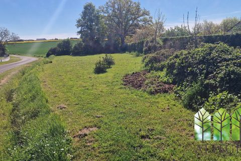 Villa i Feusines, Indre, Feusines - € 44.000 | Ref: 1282CI-ATTEGIA - foto 37