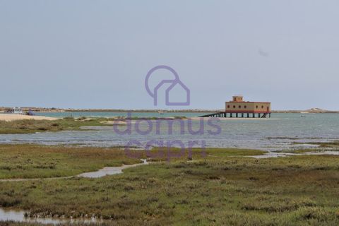 Villa i Moncarapacho, Faro, Moncarapacho - € 285.000 | Ref: 6426010 - foto 29