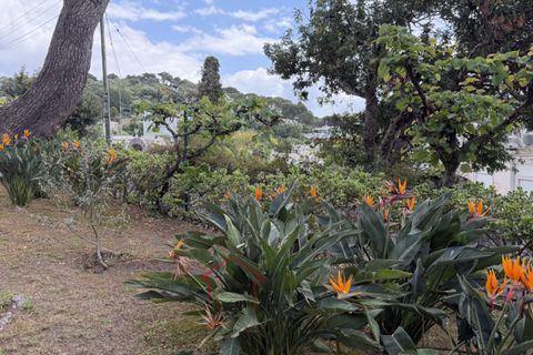 Villa a Anacapri, Naples, Anacapri - € 1.800.000 | Ref: V1115 - foto 2