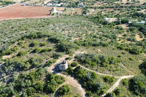 Helårsgrund i Faro, Faro, Faro - € 5.000.000 | Ref: 1LS02315 - foto 6