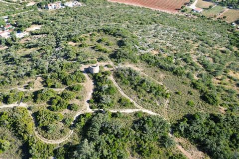 Helårsgrund i Faro, Faro, Faro - € 5.000.000 | Ref: 1LS02315 - foto 9