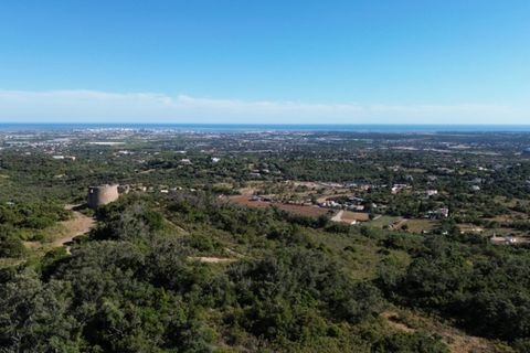 Helårsgrund i Faro, Faro, Faro - € 5.000.000 | Ref: 1LS02315 - foto 12