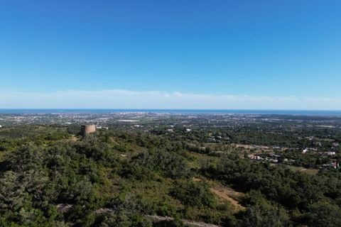 Helårsgrund i Faro, Faro, Faro - € 5.000.000 | Ref: 1LS02315 - foto 17