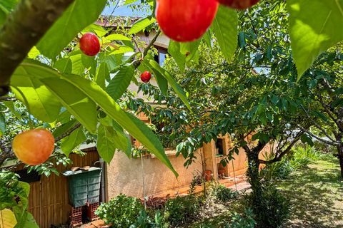 Villa a Manciet, Gers, Manciet - € 175.000 | Ref: 340938975444 - foto 12