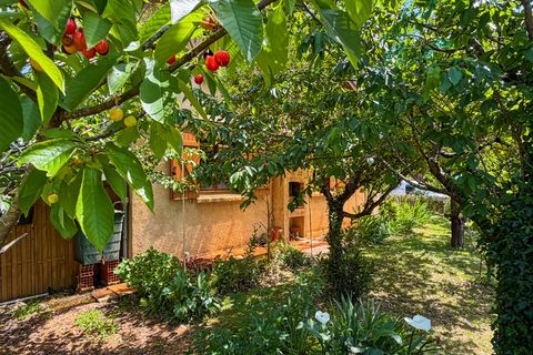 Villa a Manciet, Gers, Manciet - € 175.000 | Ref: 340938975444 - foto 25