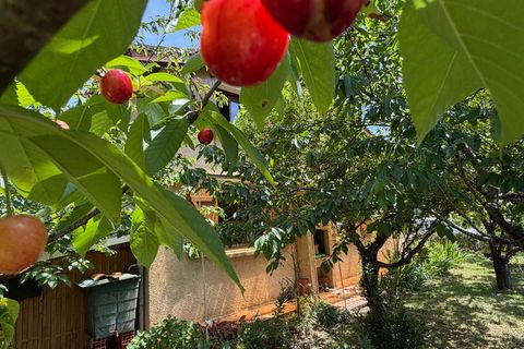 Villa a Manciet, Gers, Manciet - € 175.000 | Ref: 340938975444 - foto 31