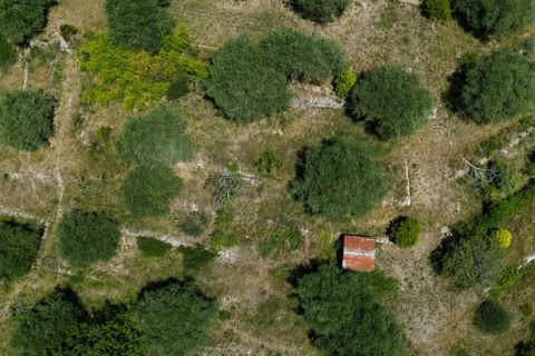 Grond in Drap, Alpes-Maritimes, Drap - € 259.000 | Ref: 1290 - foto 1