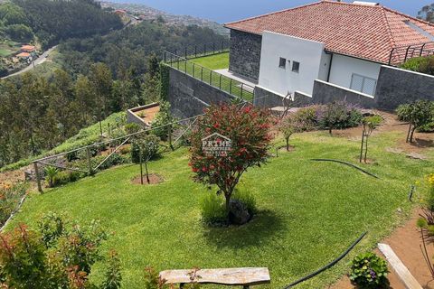 Villa i Ribeira Brava, Madeira, Ribeira Brava - € 699.000 | Ref: #1488 - foto 30