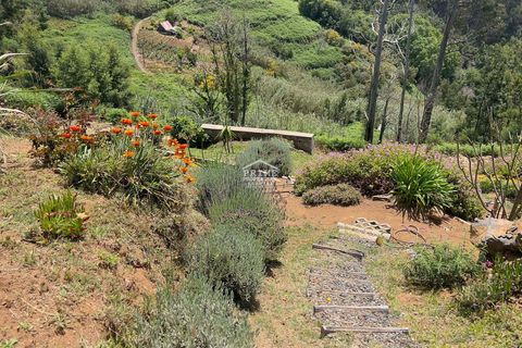 Villa i Ribeira Brava, Madeira, Ribeira Brava - € 699.000 | Ref: #1488 - foto 31