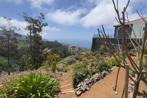 Villa i Ribeira Brava, Madeira, Ribeira Brava - € 699.000 | Ref: #1488 - foto 34