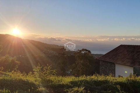 Villa i Ribeira Brava, Madeira, Ribeira Brava - € 699.000 | Ref: #1488 - foto 38