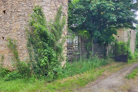 Landejendom i Louin, Deux-Sevres, Louin - € 19.900 | Ref: 340931302364 - foto 8