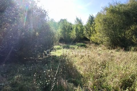 Villa i Mios, Gironde, Mios - € 399.900 | Ref: 340930904473 - foto 11