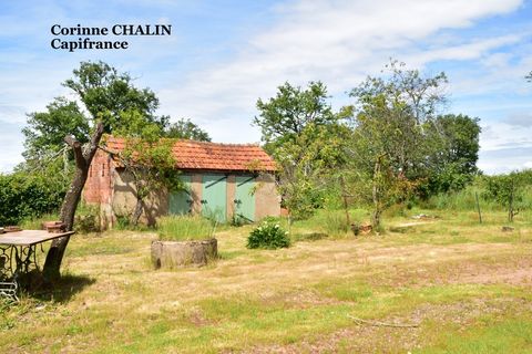 Villa a Liernolles, Allier, Liernolles - € 45.000 | Ref: 340930558543 - foto 6