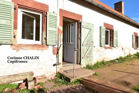 Villa a Liernolles, Allier, Liernolles - € 45.000 | Ref: 340930558543 - foto 8