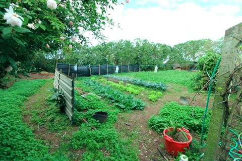 Farm hus i Sagres, Faro, Sagres - € 980.000 | Ref: Q0067 - foto 10