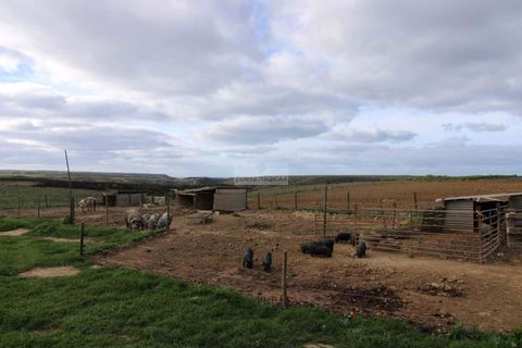 Farm hus i Sagres, Faro, Sagres - € 980.000 | Ref: Q0067 - foto 12
