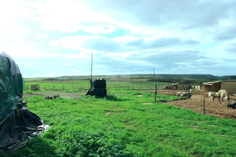 Farm hus i Sagres, Faro, Sagres - € 980.000 | Ref: Q0067 - foto 13