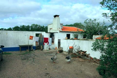Farm hus i Sagres, Faro, Sagres - € 980.000 | Ref: Q0067 - foto 20