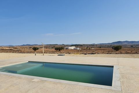 Landejendom i Pinoso, Alicante, Pinoso - € 299.995 | Ref: SI-98228 - foto 23