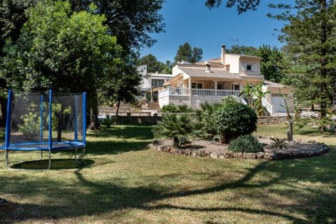 Villa a Sa Pobla, Mallorca, Sa Pobla - € 1.425.000 | Ref: 7114 - foto 3