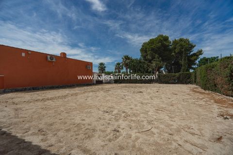 Farm i Almoradi, Alicante, Almoradi - € 595.000 | Ref: LF 33035Eq - foto 45