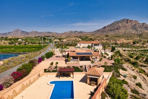 Landejendom i Albatera, Alicante, Albatera - € 540.000 | Ref: ALBA DMC Ali - foto 5