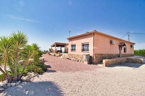 Landejendom i Albatera, Alicante, Albatera - € 540.000 | Ref: ALBA DMC Ali - foto 31