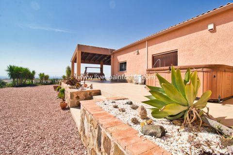Landejendom i Albatera, Alicante, Albatera - € 540.000 | Ref: ALBA DMC Ali - foto 32
