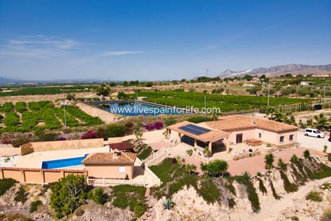 Landejendom i Albatera, Alicante, Albatera - € 540.000 | Ref: ALBA DMC Ali - foto 46
